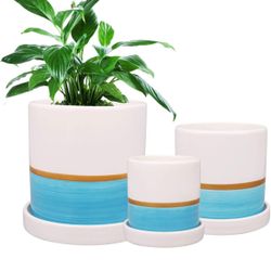 Flower Pots, Ceramic Planter Pot with Drainage Holes, Succulent Planter Pots Planting Pot Flower Pots for Mini Plant Perfect for Garden, Kitchen, Wind