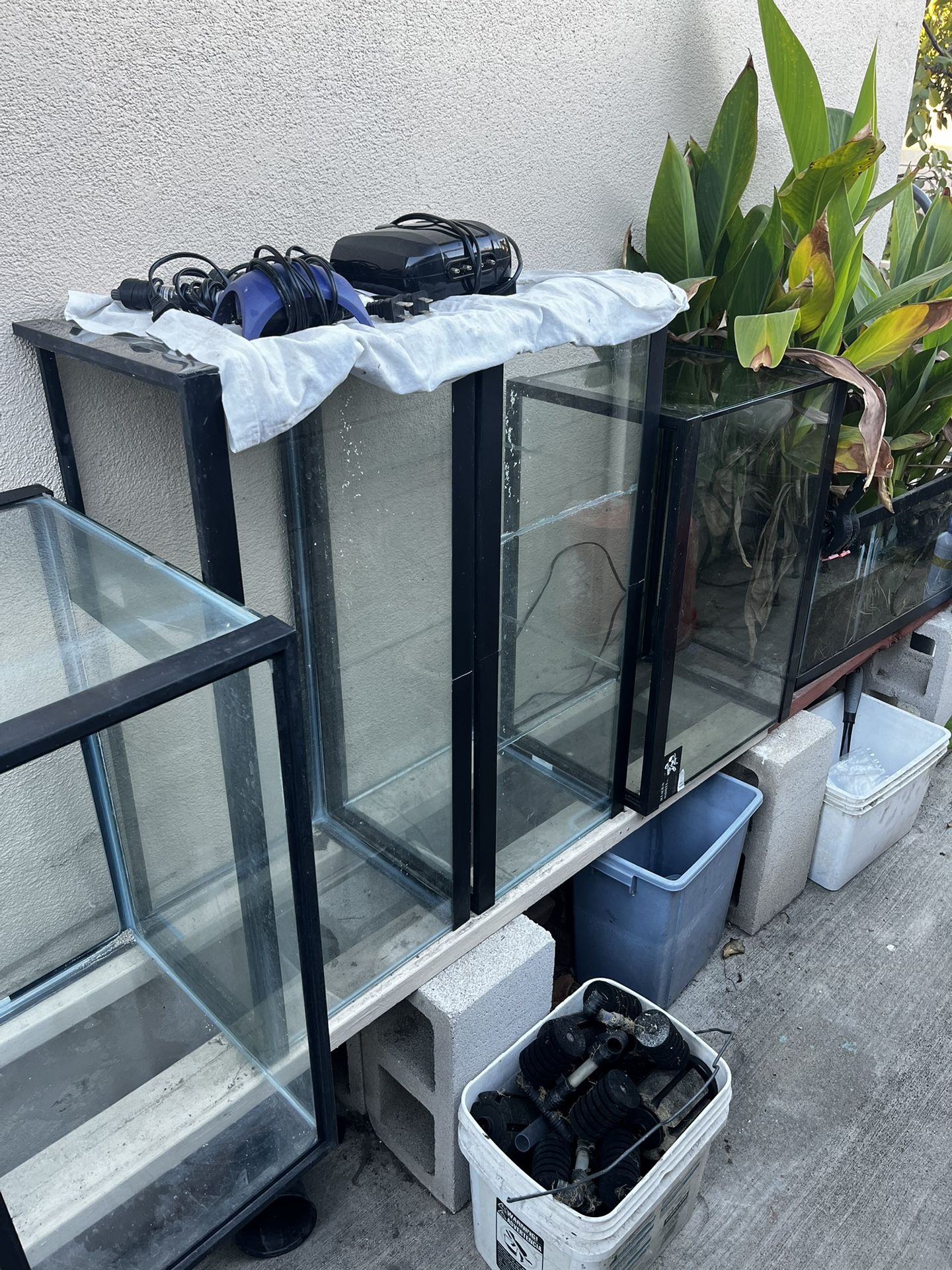 20 Gallon Fish Tanks And Supplies