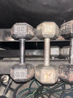 20 lb dumbbells