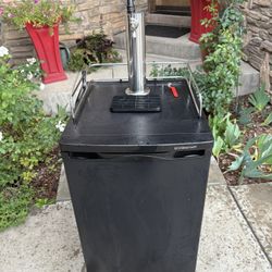 Kegerator Single Tap