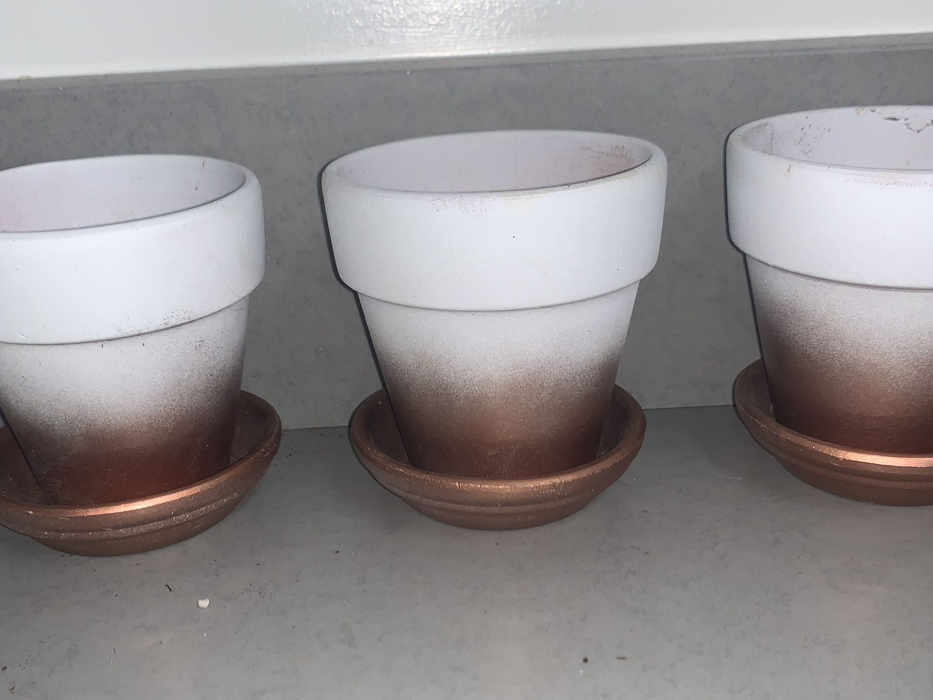 Set Of 3 White and Gold Succulent Planters
