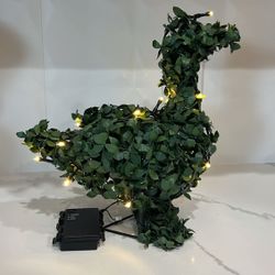 Duck With Lights