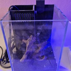 Reefing Gear