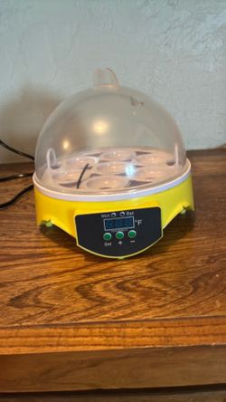 Egg incubator