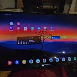 Samsung Galaxy Tab S9 Ultra 512gb and accessories 