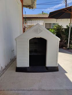 Large dog house