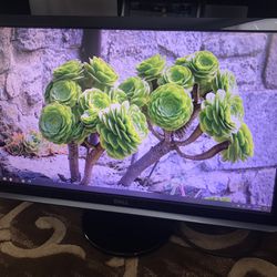 24” Inch Sell Computer Monitor,