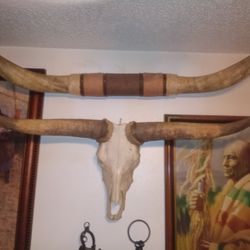 Cow Horns.6 Ft.$400.other Set Ask For Price 