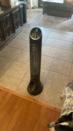 Oscillating Fans