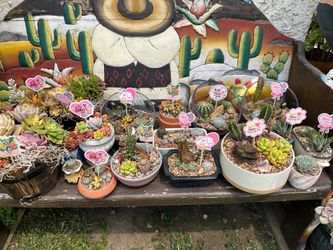 Mother’s Day