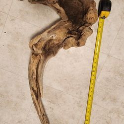 Wood pieces for taxidermy