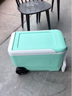 Igloo cooler