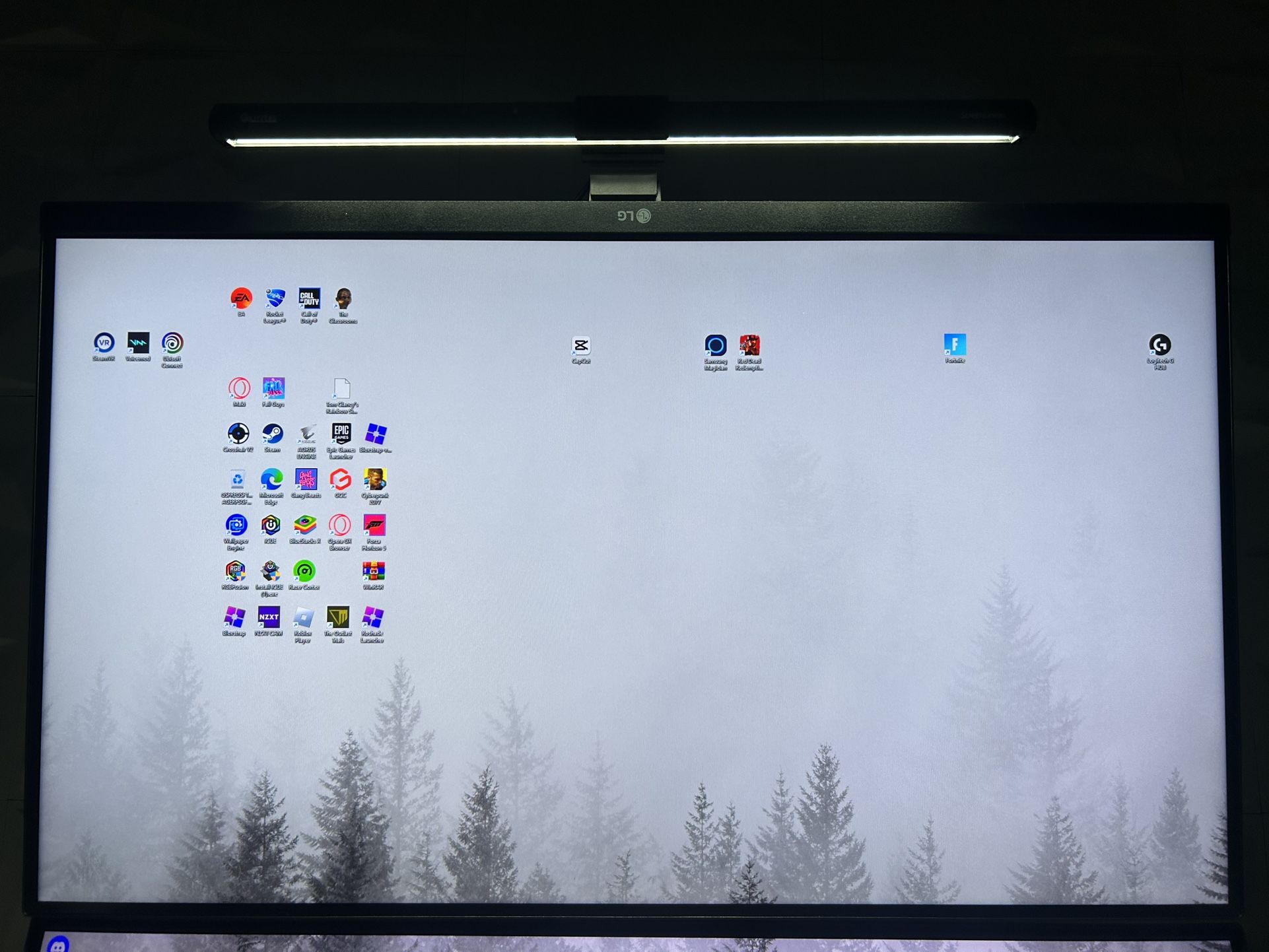 LG Gaming Monitor