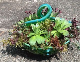 Depression glass with Succulents