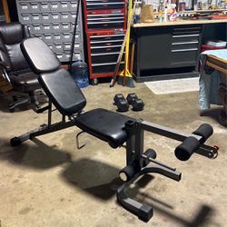 Weight Bench With Ladder