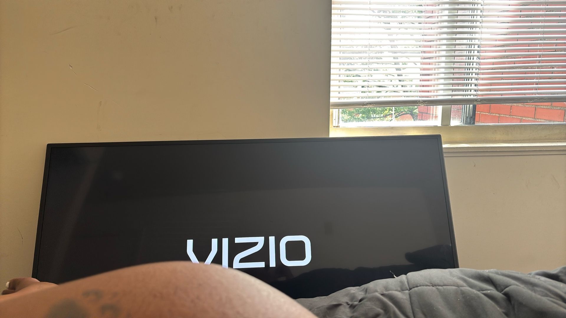 Tv 65