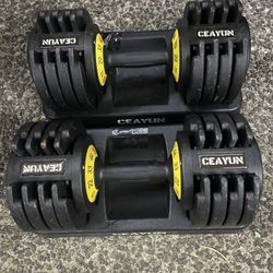 Ceayun Adjustable Dumbbells Sets 11LBS-55LBS 