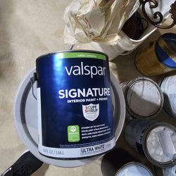 1 Gallon New Paint 