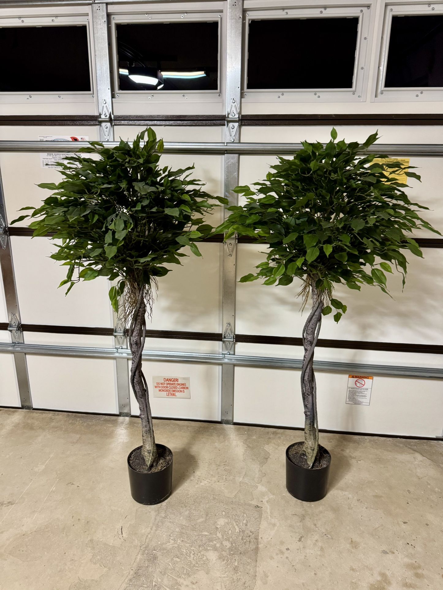 (2) 5’ Ficus Artificial Tree