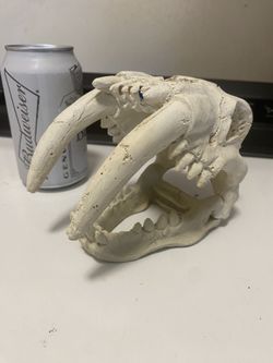 Fish Tank Decor (skull)