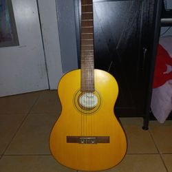 Acoustic Guitar 