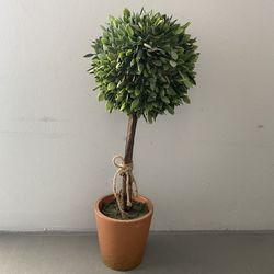Potted Faux Tree Statue Posted & Sold Separately 