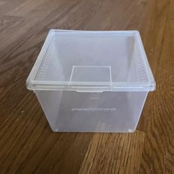 Jumping Spider Enclosure 