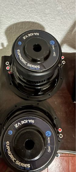 Enemies 10 inch subwoofers