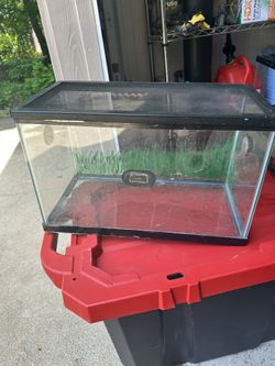 10 Or 15 Gallon