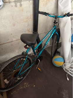 Women’s Roadmaster Chromium edition bike