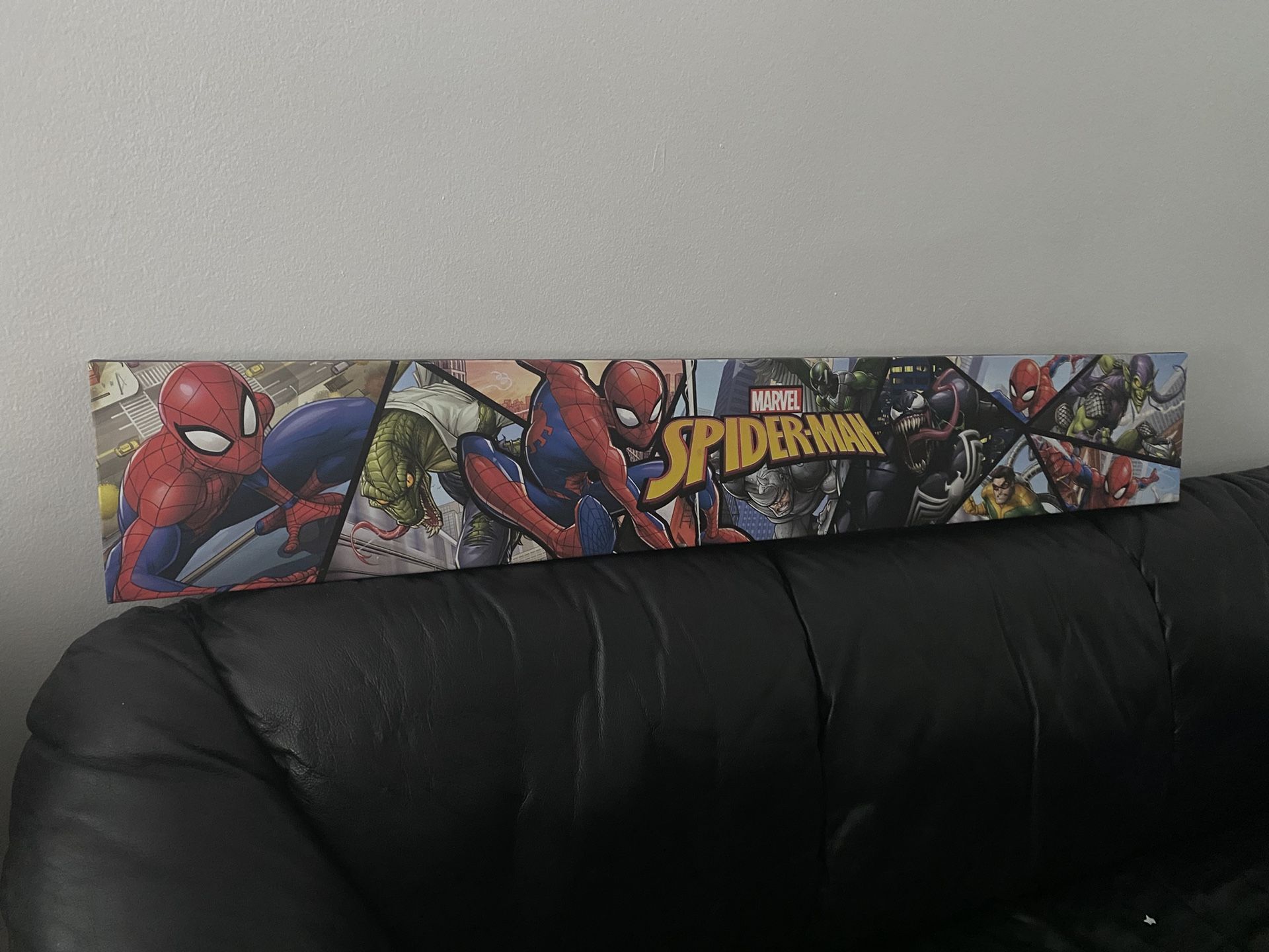 Spider-Man Canvas