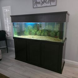 salt water tank 6ft