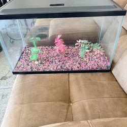 Fish Tank