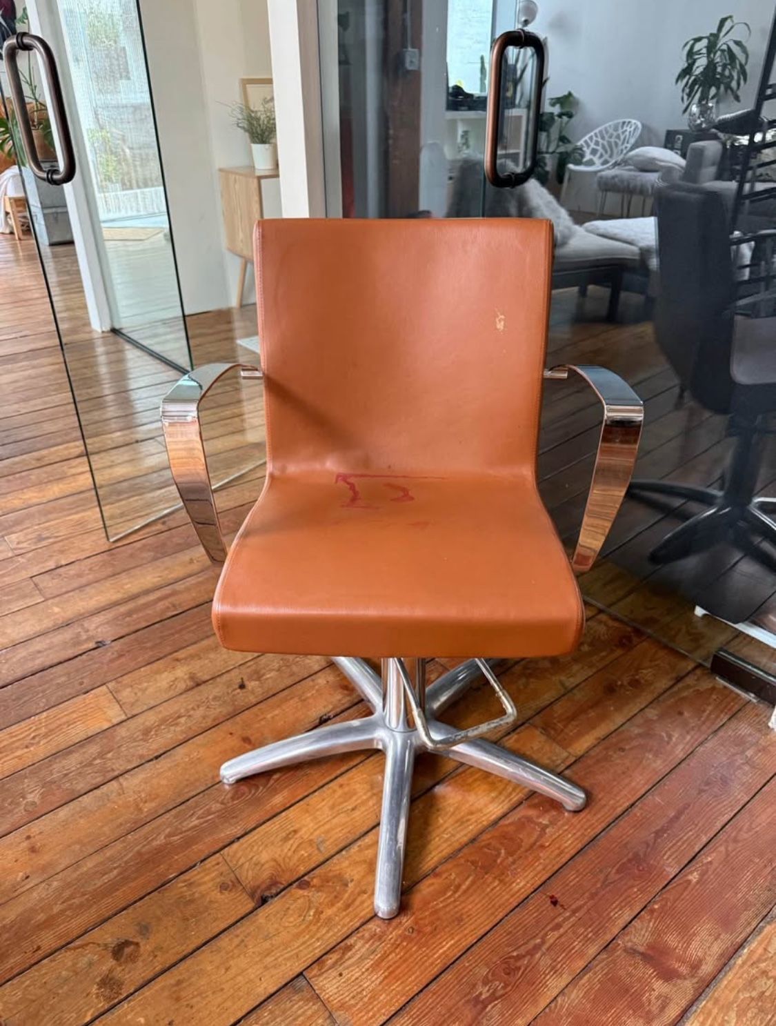 Minerva Salon Chair, $75 OBO