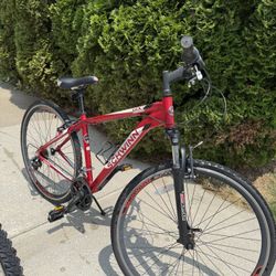 Schwinn GTX3 18”