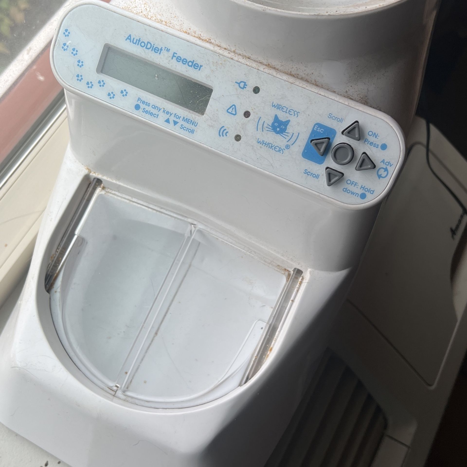 Automatic Cat Feeder