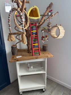 Bird playground