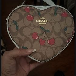Heart Shape Purse 