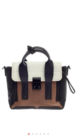 Mini Pashli crossbody bag