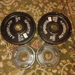 (2) 10lbs Olympic Plates (2) 2.5 Lbs Olympic Plates (25 Pounds Total)