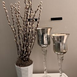 2 Candle Holders/ 2 New Candles/ 1 Plant