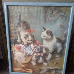 Cat Print With Frame