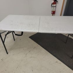 Lifetime 4 Foot Folding Table