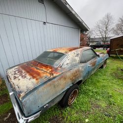 Rare Opportunity -1969 Firebird