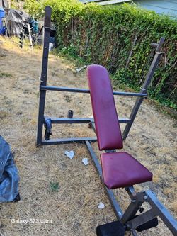 Olympic Bench Press