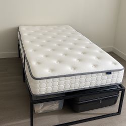 Twin Platform Bed Frame with Mattress