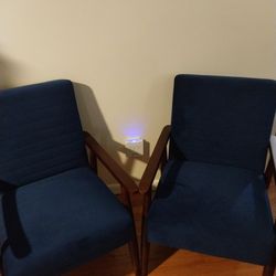 Blue Velvet Indoor/outdoor chairs Set Of 2