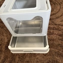 Cat Supply’s 
