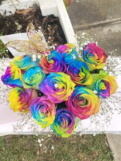 Roses,rosas de arcoÃris 🌈
