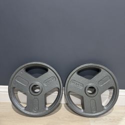35lbs Olympic Weight Plates